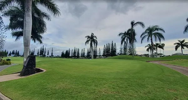 하와이 하얏트 실속 3색골프