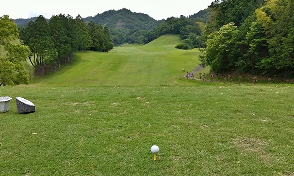 오사카 3색골프