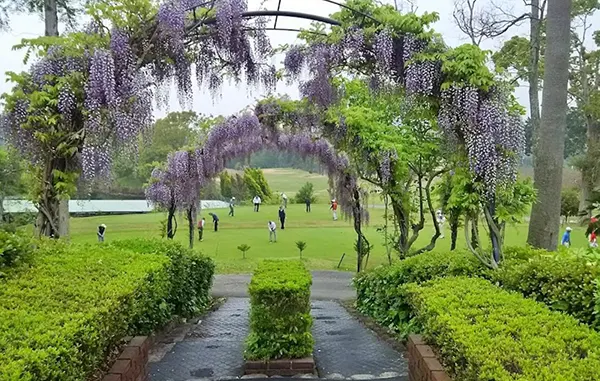 오사카 3색골프