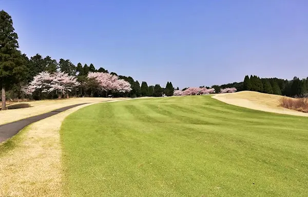 구마모토 기쿠치 무제한 골프