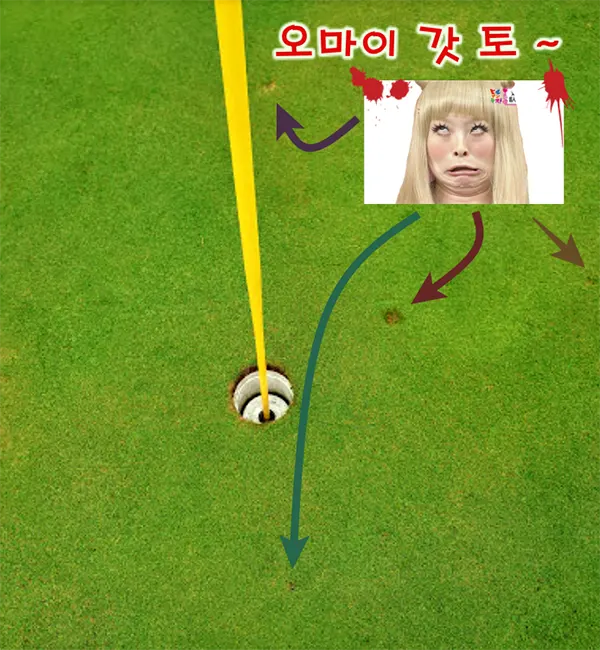 구마모토 기쿠치 무제한 골프