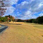 오사카 도톤보리 시내 3색골프